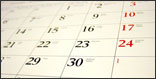 Daily Schedule Daily Schedule